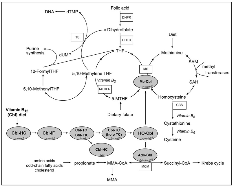 Figure 22b.2