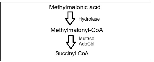 Figure 22b.7