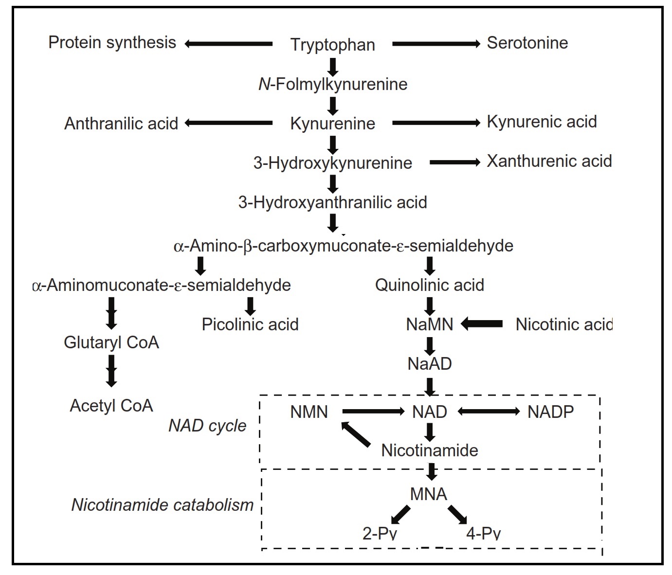 Figure 24c.1