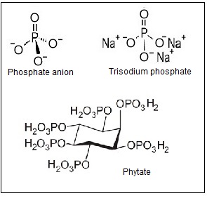 figure23b.1