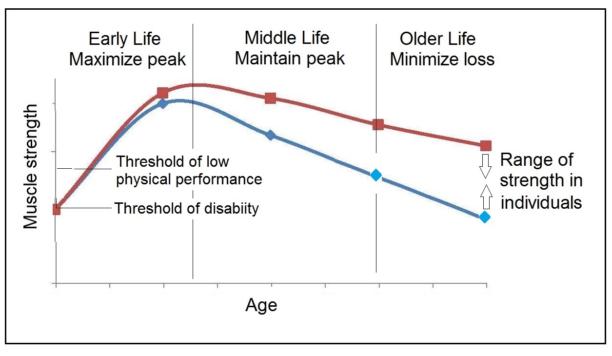 Figure 16b.6