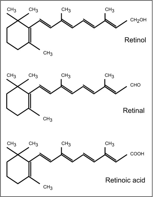 Figure 18a.1